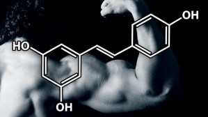 Hormones et condition physique : 10 étapes pour optimiser la testostérone, l'hormone de croissance, l'insuline, le cortisol et la leptine